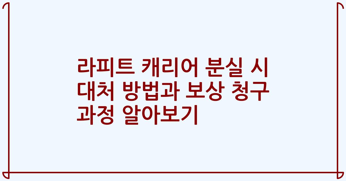 라피트 캐리어 분실 시 대처 방법과 보상 청구 과정 알아보기